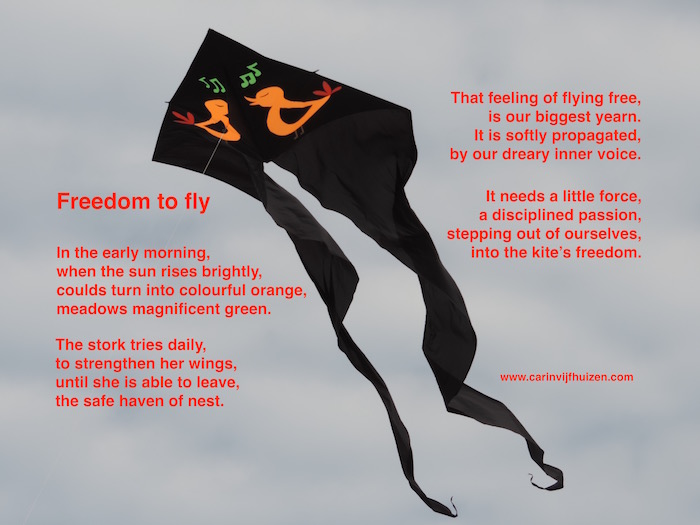 FLYING FREE